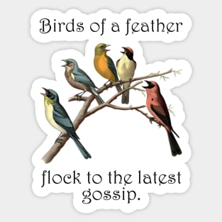 Feathered Gossip Gathering Sticker